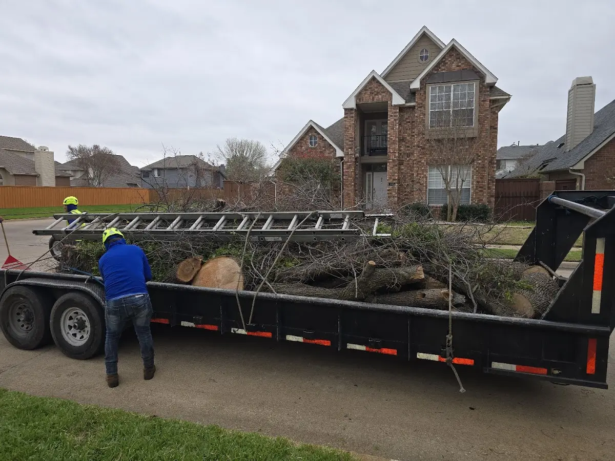 Expert Tree Removal with proper safety equipment in Russellville